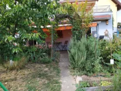 Massif de rosiers du jardin privatif du gîte Huth