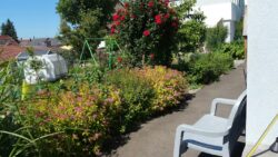 Terrasse fleurie du gîte Huth Alsace